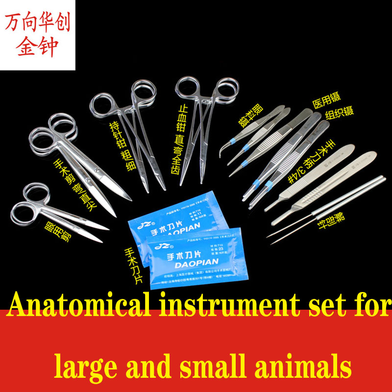 Golden Bell planing surgical i - Medical Lab Units บทวิจารณ์และราคา